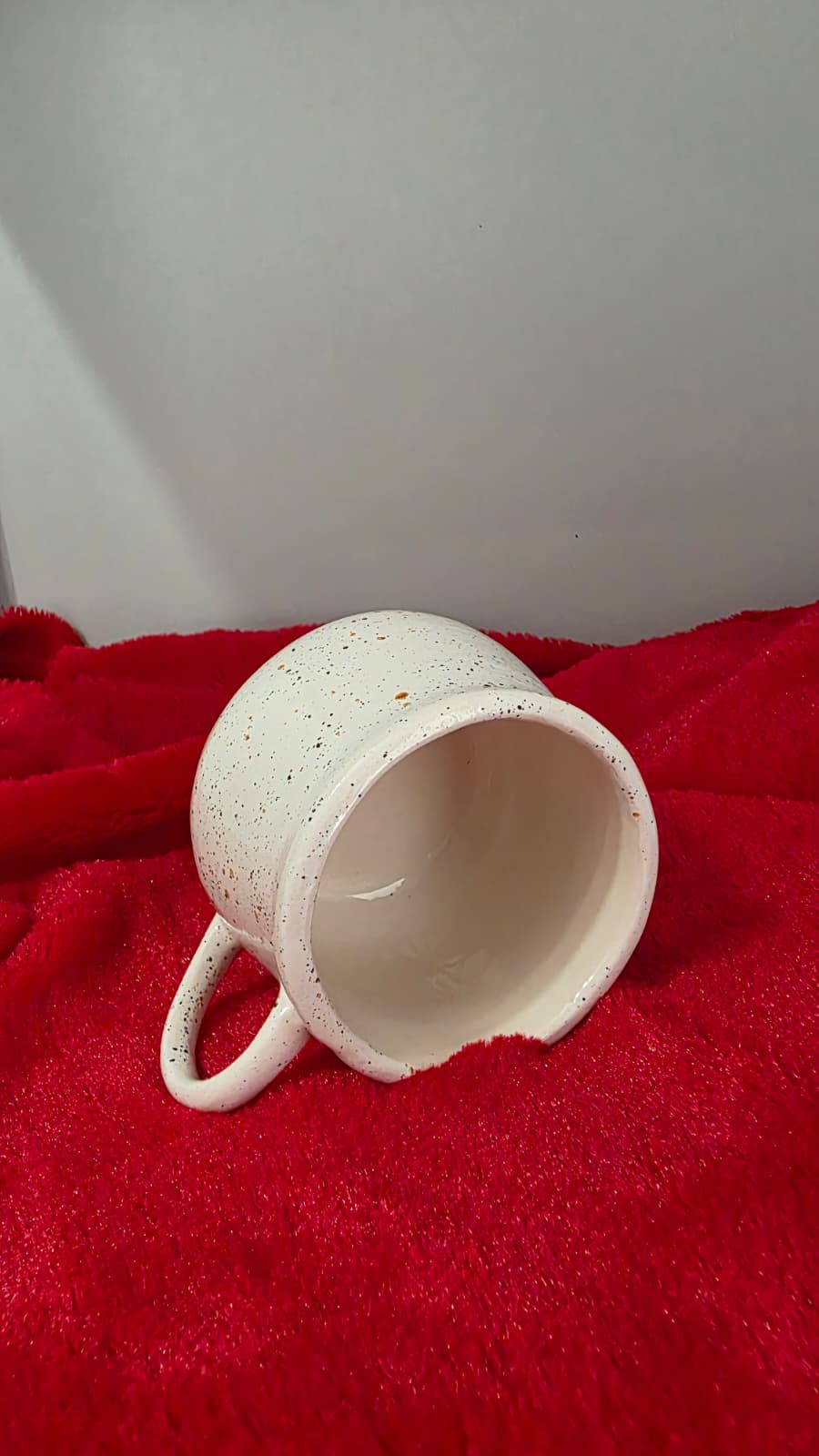 WhatsApp Image 2025-11-16 at 13.16.53