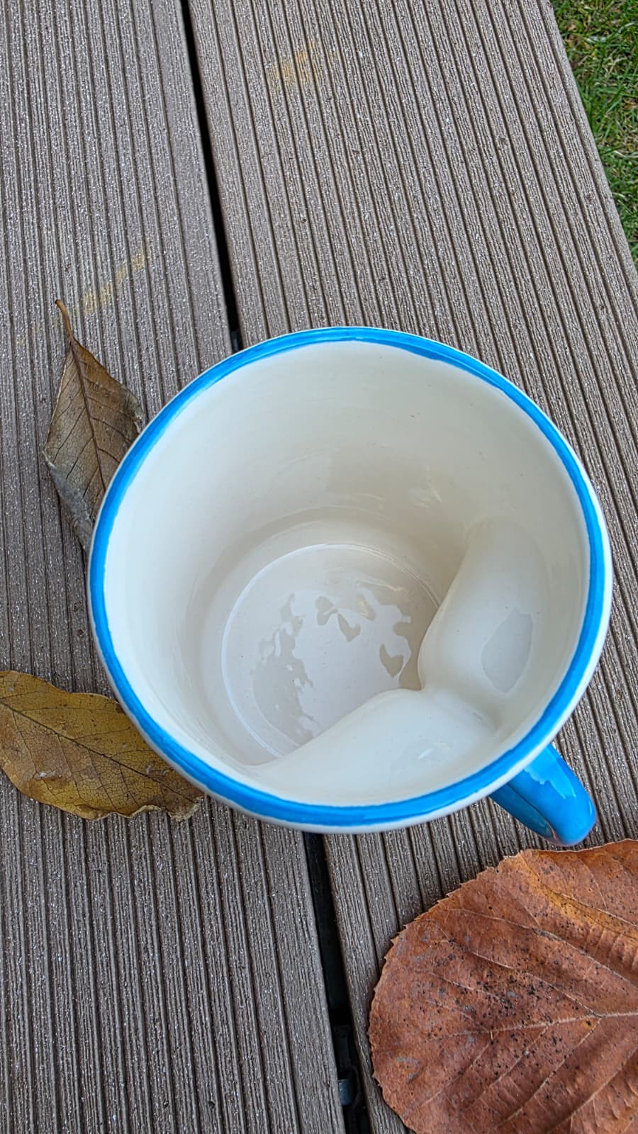 WhatsApp Image 2025-11-16 at 13.37.00